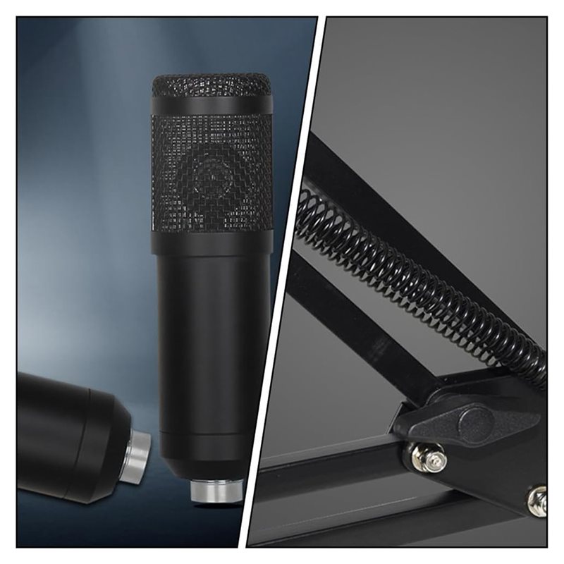AED4-BM800 Studio Recording Mi - đánh giá và giá Condenser Microphone Kit