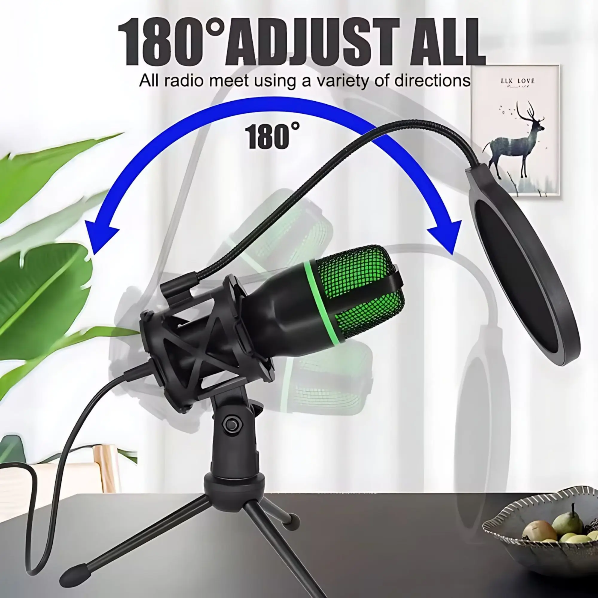 Professional USB Condenser Mic - đánh giá và giá Condenser Microphone Kit