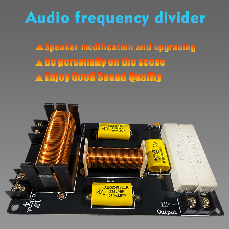 Audio Frequency Divider 800W 2 - đánh giá và giá Speaker Crossover