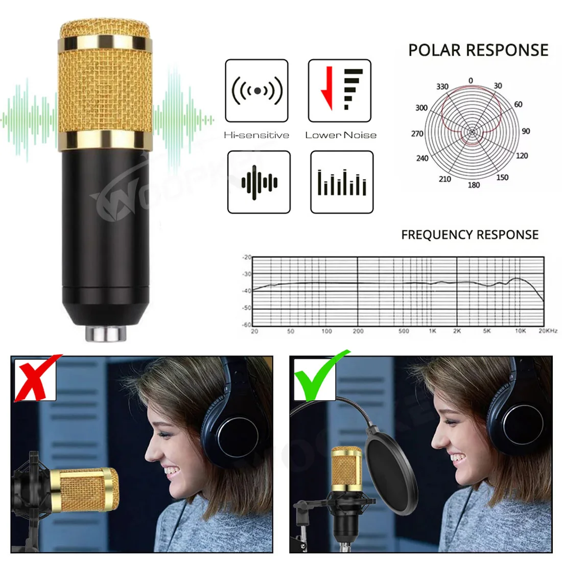 Woopker Professional Condenser - đánh giá và giá Condenser Microphone Kit