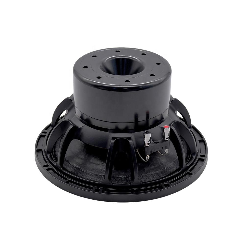 12DS Pro Audio Equipment 12''  - đánh giá và giá Subwoofer