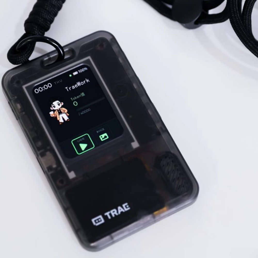 FoloToy AI PASSPORT Electronic - đánh giá và giá Speaker Kit